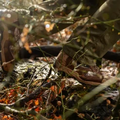 Lacrosse Men's Atlas 8" Soft Toe WP 400G Ins Hunt Boot - Brown - 572111 21 Lacrosse Men's Atlas 8" Soft Toe WP 400G Ins Hunt Boot - Brown - 572111 -Strut Boots 572111 alt1